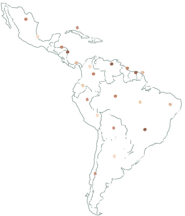 Casos en Latinoamérica
